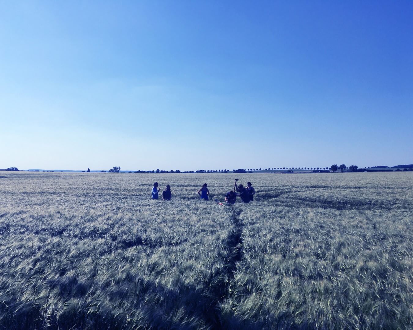 Mehrere Personen in einem grünen Getreidefeld